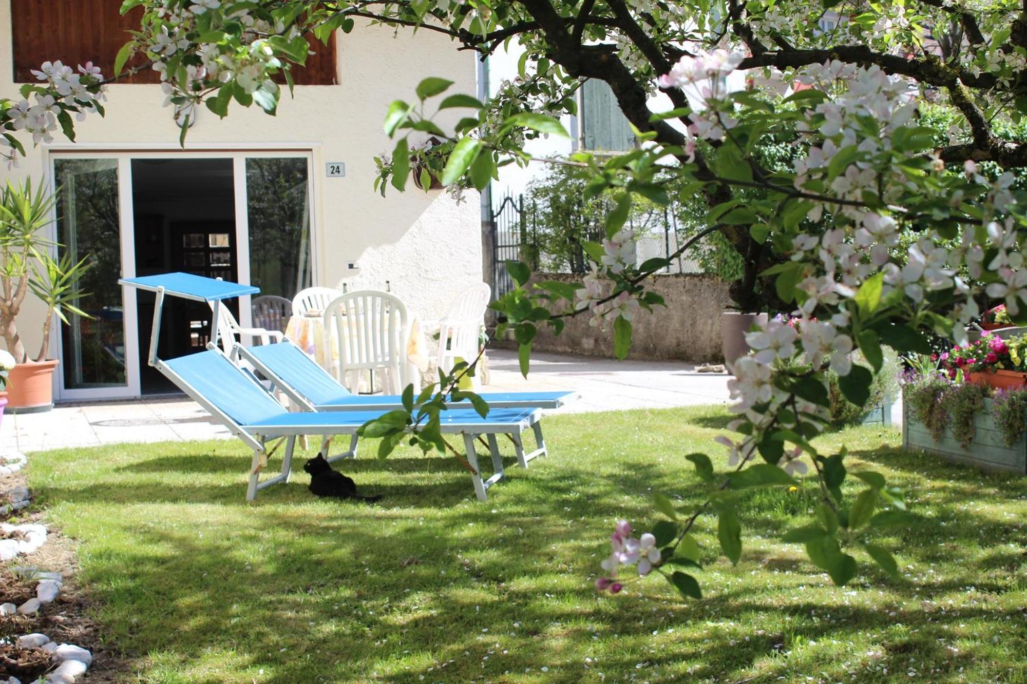 Residence Zecchini Tiarno di Sotto Δωμάτιο φωτογραφία